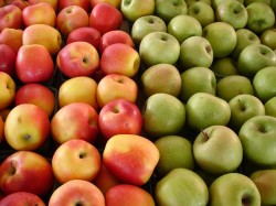 apples