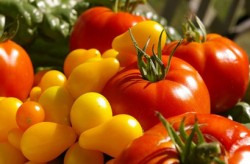 reasons-buy-organic-food-products
