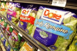 saladlettuce